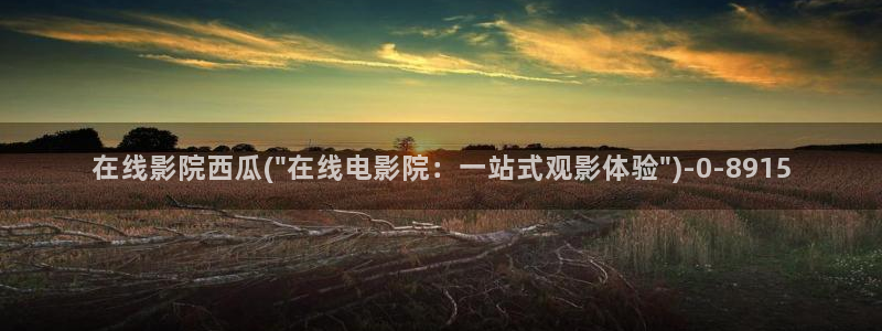 西瓜影院在线午夜理论