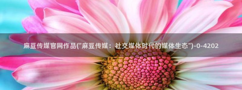 麻豆a原创传媒官网：麻豆传媒官网作品(\