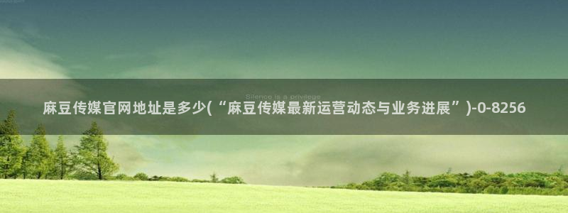 麻豆映像传媒官网：麻豆传媒官网地址是多少(“麻豆传媒最新运营动态与业务进展”)