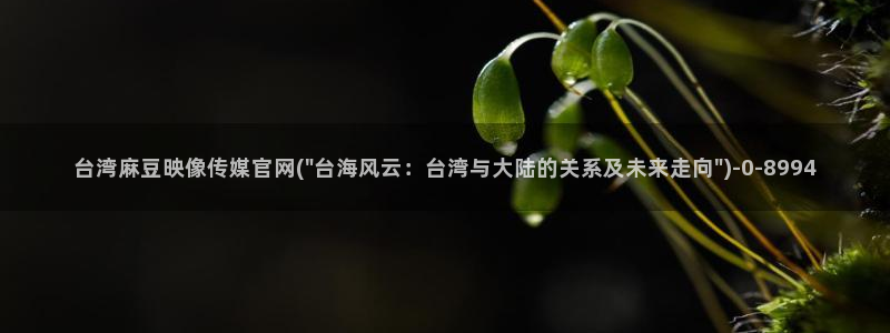 麻豆斤传媒官网：台湾麻豆映像传媒官网(\