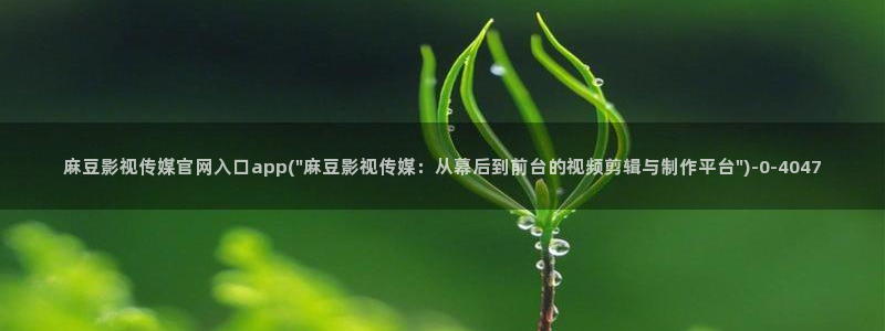 麻豆传媒印画官网：麻豆影视传媒官网入口app(\