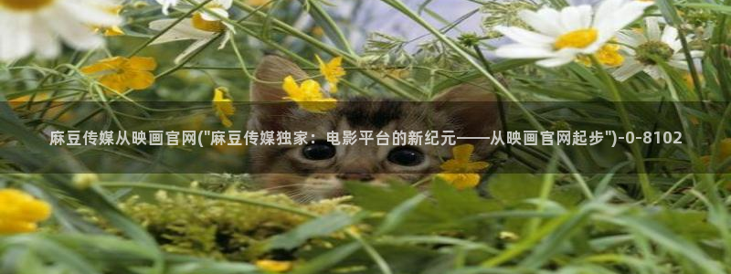 麻豆传媒官网怎么进：麻豆传媒从映画官网(\