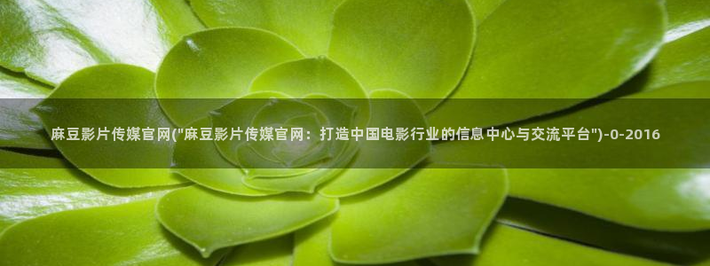 麻豆床传媒官网应聘：麻豆影片传媒官网(\