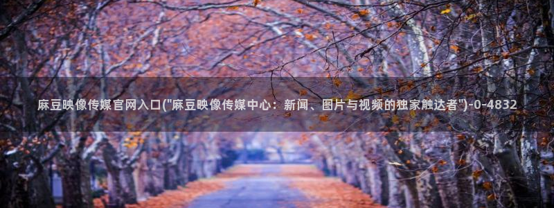 火辣麻豆传媒官网：麻豆映像传媒官网入口(\