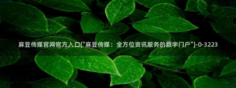 麻豆污污传媒官网：麻豆传媒官网官方入口(\