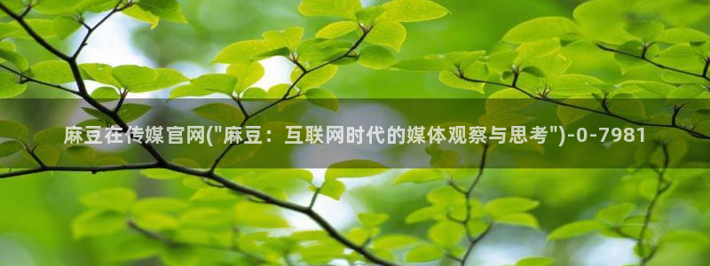 台湾麻豆传媒官网地址：麻豆在传媒官网(\