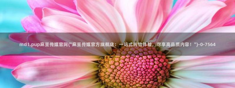 麻豆传媒官网社区：md1.pup麻豆传媒官网(\