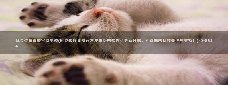 麻豆tv传媒官网入口：麻豆传媒直播官网小说(麻豆传媒直播官方发布新剧预告和更新日志，期待您的持续关注与支持！)