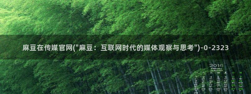 台湾麻豆传媒官网在线：麻豆在传媒官网(\