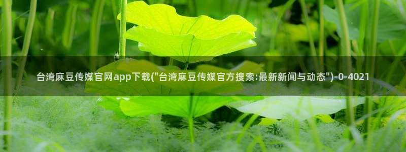 麻豆在传媒官网：台湾麻豆传媒官网app下载(\