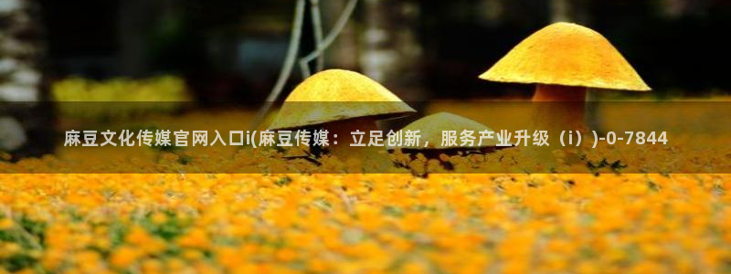 麻豆映像传媒官网：麻豆文化传媒官网入口i(麻豆传媒：立足创新，服务产业升级（i）)