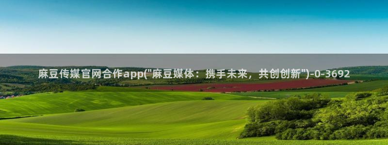 91麻豆传媒官网破解：麻豆传媒官网合作app(\