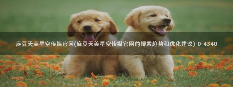 台湾麻豆传媒官网地址
